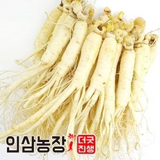 진생베리 효능