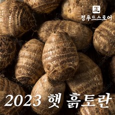 토란