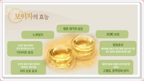 보이차 보이차 효능 보이차 부작용 보이차 끊이는방법 12