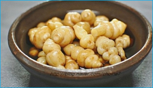초석잠11