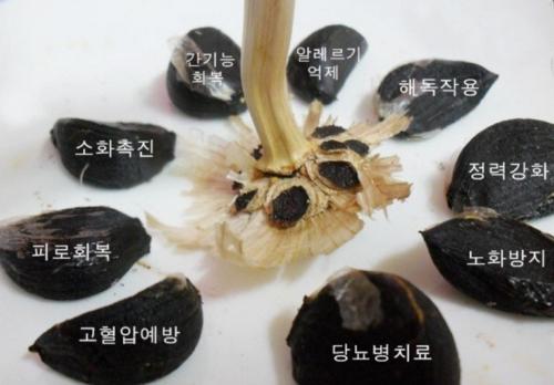 흑마늘 효능 부작용 7