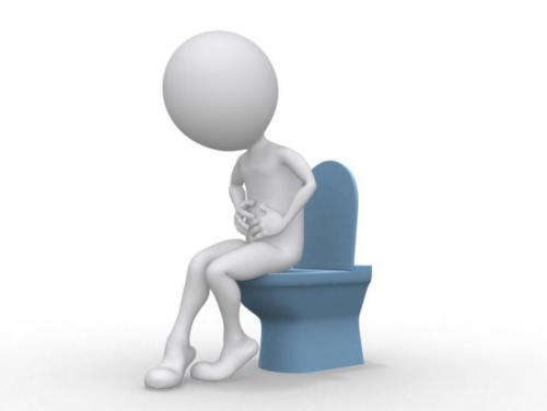 초석잠 효능 부작용 12
