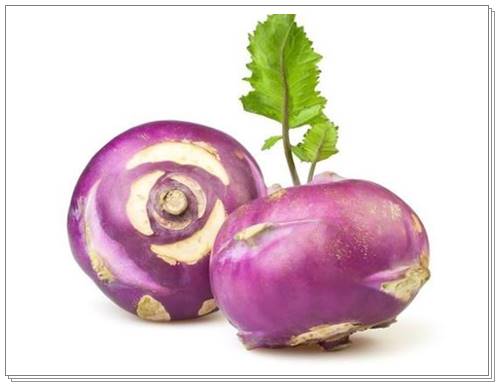 순무효능부작용003