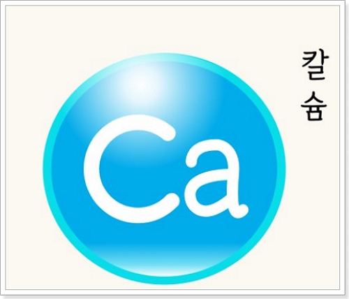 칼슘4