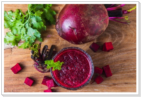 비트 효능 부작용1008