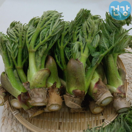 001두릅 효능 조리방법 부작용