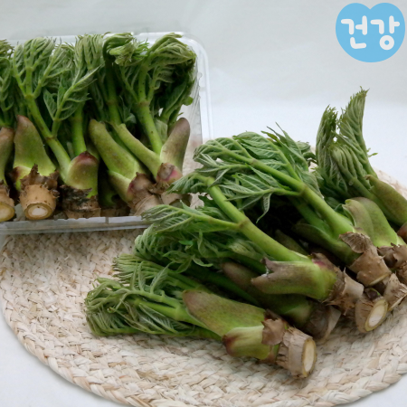 002두릅 효능 조리방법 부작용