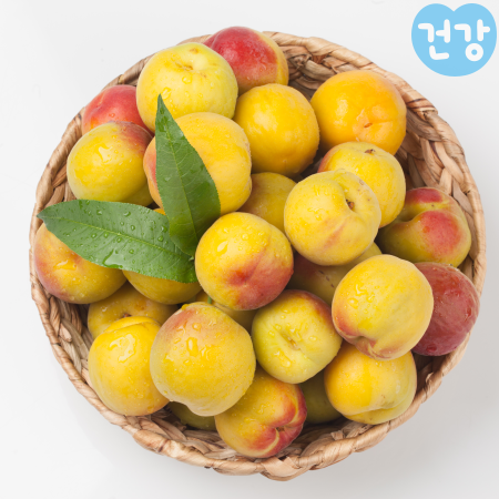 025플럼코트 효능 영양성분먹는법