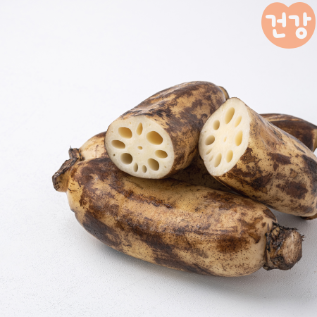 014연근 효능 영양성분 먹는법 암 예방 효과