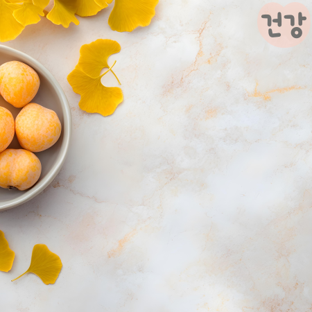027은행열매 효능먹는법 담금주 만드는 법 먹으면 혈관을 튼튼하게 하는데 도움이 되나