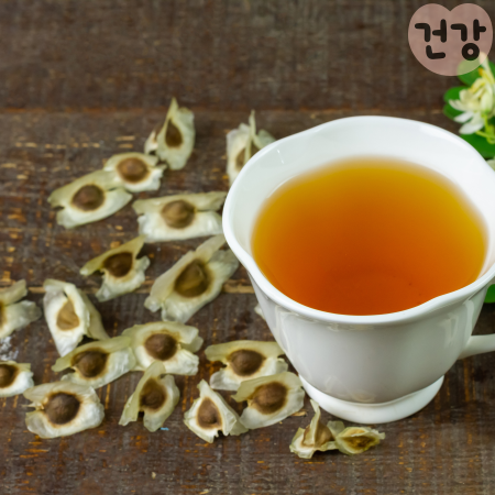 029모링가 효능 영양성분 섭취방법 항암 효과 작동원리는