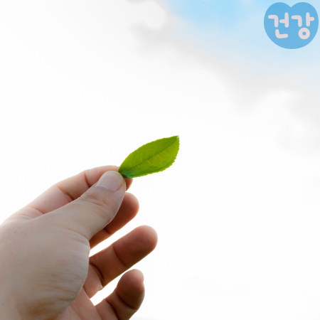 021아스타잔틴 효능 복용법 아스타잔틴 항산화 역할