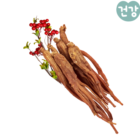 027홍삼 효능 종류 면역력 개선효과 부작용
