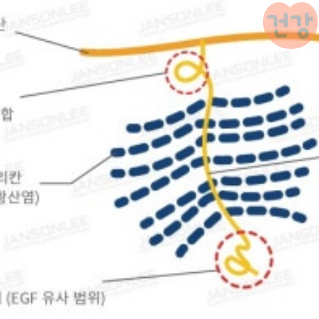 004프로테올글리칸 효능 프로테올글리칸 피부 탄력에 미치는 영향은 부작용