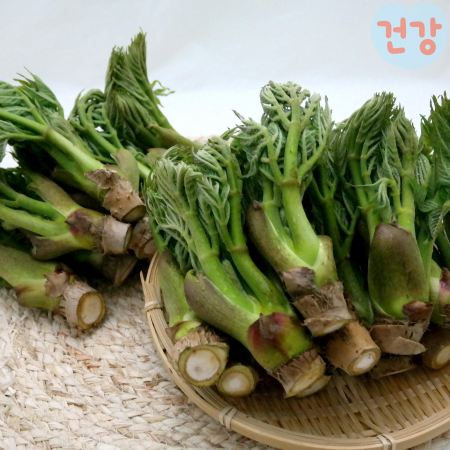 012두릅 효능 참두릅과 땅두릅의 차이점은 제철