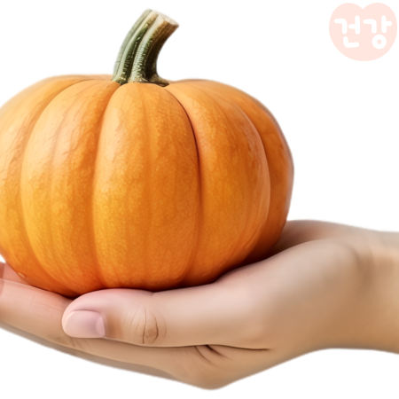 002늙은호박 효능 요리 영양성분과 항산화물질이 건강에 미치는 영향은 부작용