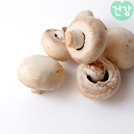 003양송이버섯효능 손질법 보관법 활용 요리 부작용