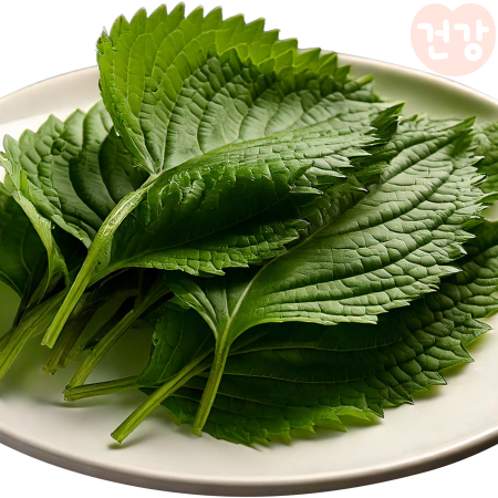 007깻잎 효능 권장 섭취량 항산화 성분이 노화 방지에 미치는 영향은 부작용