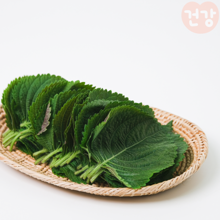 009깻잎 효능 권장 섭취량 항산화 성분이 노화 방지에 미치는 영향은 부작용