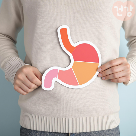 020펜넬 효능 항염증 성분이 만성 질환에 미치는 영향은 칼로리