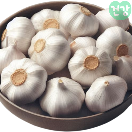 022코끼리 마늘 효능 수확시기 일반 마늘과 다른 점은 영양성분