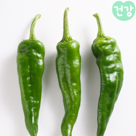 026당조고추 효능 일반고추 차이점 혈당 조절 효과는 어떻게 작용하나 요리법