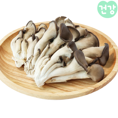 031느타리버섯 효능 보관법암 예방 역할 부작용