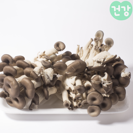 032느타리버섯 효능 보관법암 예방 역할 부작용