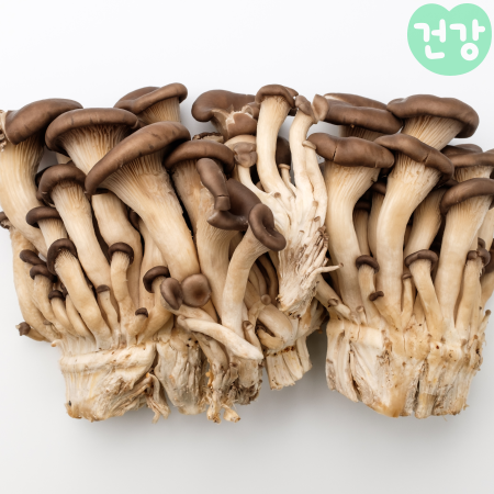 033느타리버섯 효능 보관법암 예방 역할 부작용