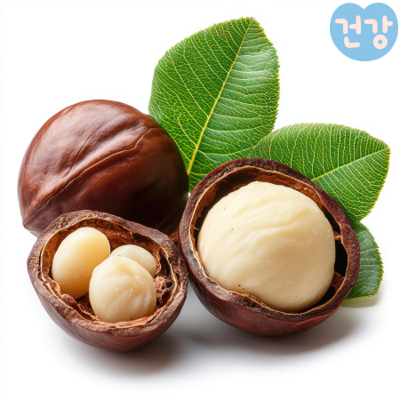 003마카다미아 효능 칼로리 하루 적당량 불포화 지방산이 심혈관 건강에 미치는 영향은 부작용